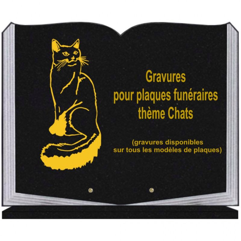 PLAQUE FUNÉRAIRE 35X45 LIVRE SUR SOCLE GRAVURE CHATS