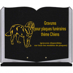 PLAQUE FUNÉRAIRE 35X45 LIVRE SUR SOCLE GRAVURE CHIENS