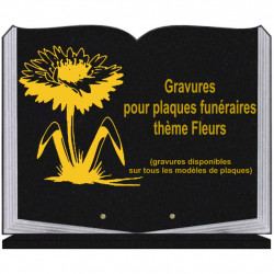 PLAQUE FUNÉRAIRE 35X45 LIVRE SUR SOCLE GRAVURE FLEURS