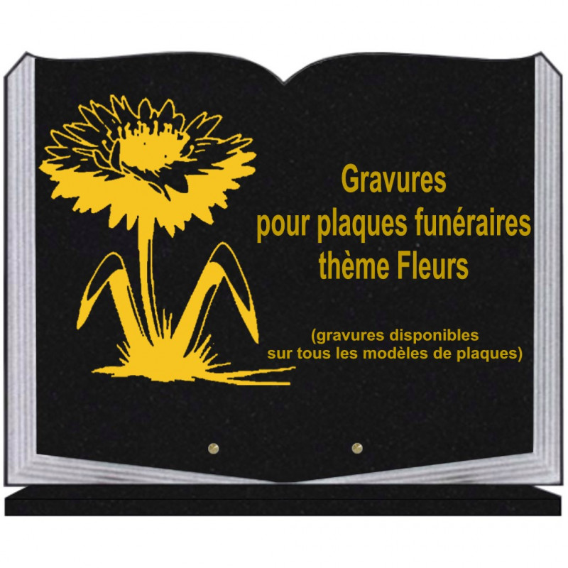 PLAQUE FUNÉRAIRE 35X45 LIVRE SUR SOCLE GRAVURE FLEURS