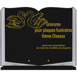 PLAQUE FUNÉRAIRE 35X45 LIVRE SUR SOCLE GRAVURE OISEAUX