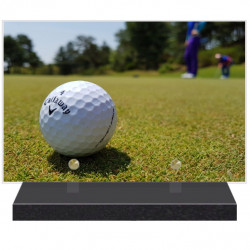 PLAQUE FUNÉRAIRE GOLF GOLFEUR 20 cm X 30 cm FPF10109