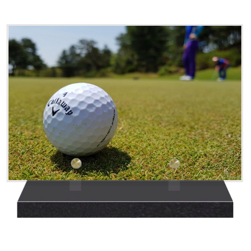 PLAQUE FUNÉRAIRE GOLF GOLFEUR 20 cm X 30 cm FPF10109