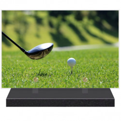 PLAQUE FUNÉRAIRE GOLF GOLFEURS 20 cm X 30 cm FPF10112