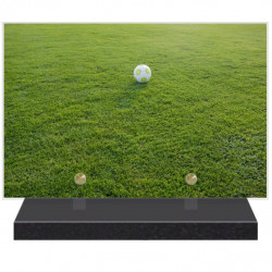 PLAQUE FUNÉRAIRE BALLON DE FOOTBALL 20 cm X 30 cm FPF10172