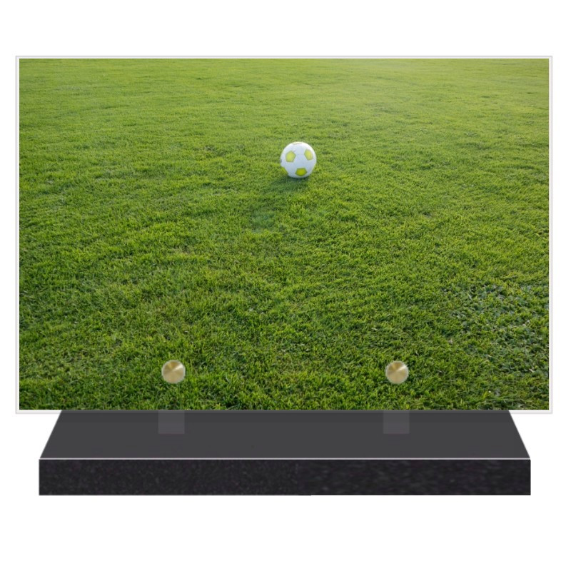 PLAQUE FUNÉRAIRE BALLON DE FOOTBALL 20 cm X 30 cm FPF10172