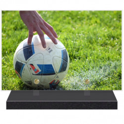 PLAQUE FUNÉRAIRE FOOTBALLEUR FOOTBALL 20 cm X 30 cm FPF10175