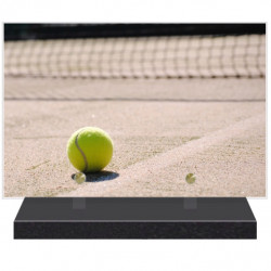 PLAQUE FUNÉRAIRE SPORT TENNIS 20 cm X 30 cm FPF10307