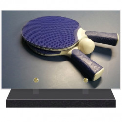 PLAQUE FUNÉRAIRE TENNIS DE TABLE 20 cm X 30 cm FPF10309