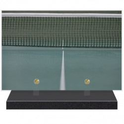 PLAQUE FUNÉRAIRE LOISIRS PING PONG 20 cm X 30 cm FPF10310