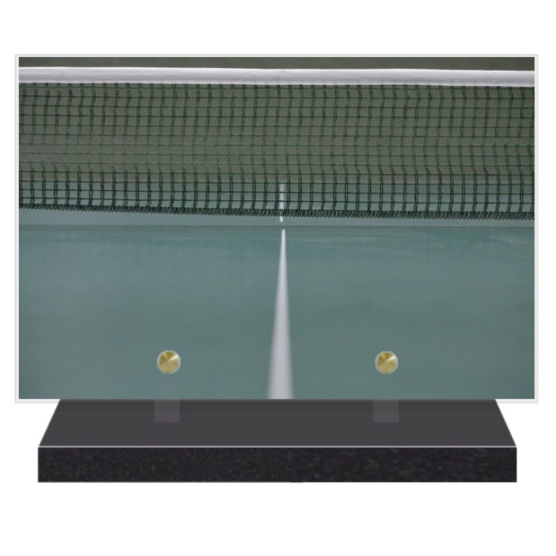 PLAQUE FUNÉRAIRE LOISIRS PING PONG 20 cm X 30 cm FPF10310