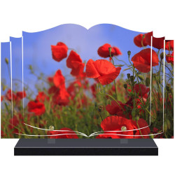 PLAQUE FUNÉRAIRE LIVRE COQUELICOTS A PERSONNALISER FPF2092