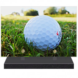 PLAQUE FUNÉRAIRE LOISIRS GOLF 20 cm X 30 cm FPF10110