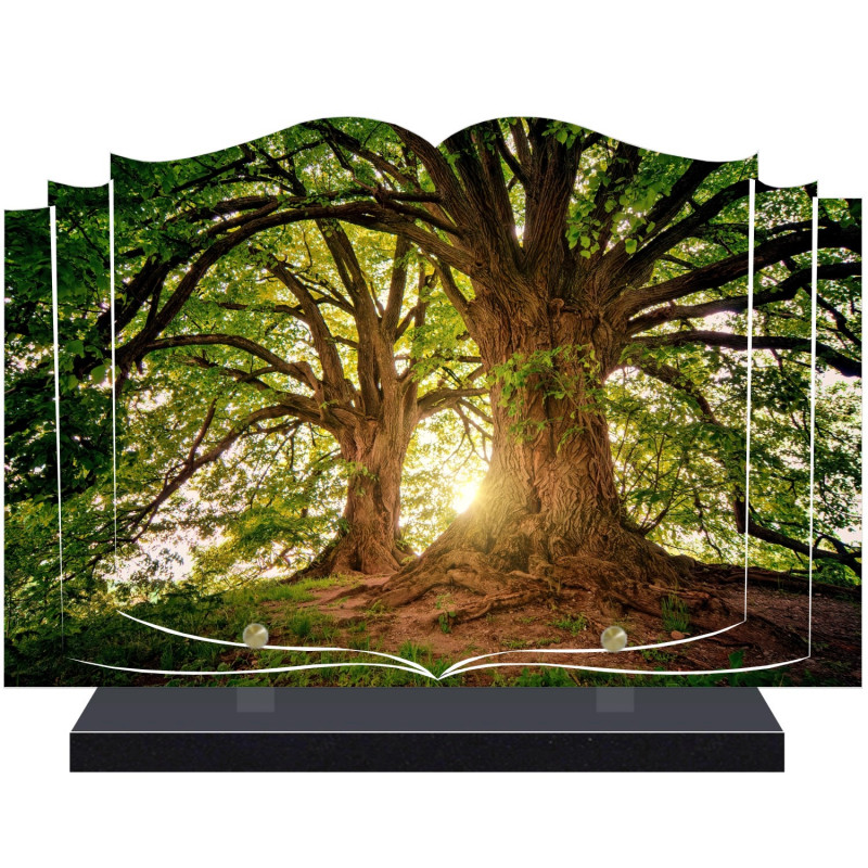 PLAQUE FUNÉRAIRE LIVRE FORÊT A PERSONNALISER FPF2170