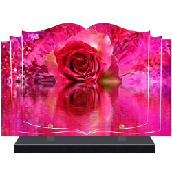 PLAQUE FUNÉRAIRE LIVRE ROSE A PERSONNALISER FPF2250