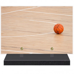 PLAQUE FUNÉRAIRE SPORT BASKET BALL 20 cm X 30 cm FPF10711