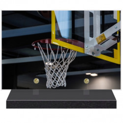 PLAQUE FUNÉRAIRE BASKET BALL 20 cm X 30 cm FPF10714