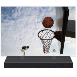 PLAQUE FUNÉRAIRE LOISIRS BASKET BALL 20 cm X 30 cm FPF10713