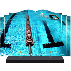 PLAQUE FUNÉRAIRE LIVRE SPORTS NATATION A PERSONNALISER FPF10451