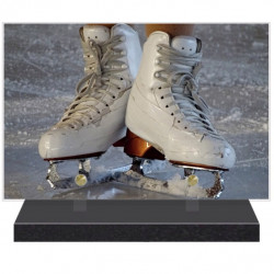 PLAQUE FUNÉRAIRE PATINAGE ARTISTIQUE 20 cm X 30 cm FPF10780