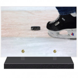 PLAQUE FUNÉRAIRE HOCKEY SUR GLACE 20 cm X 30 cm FPF10781