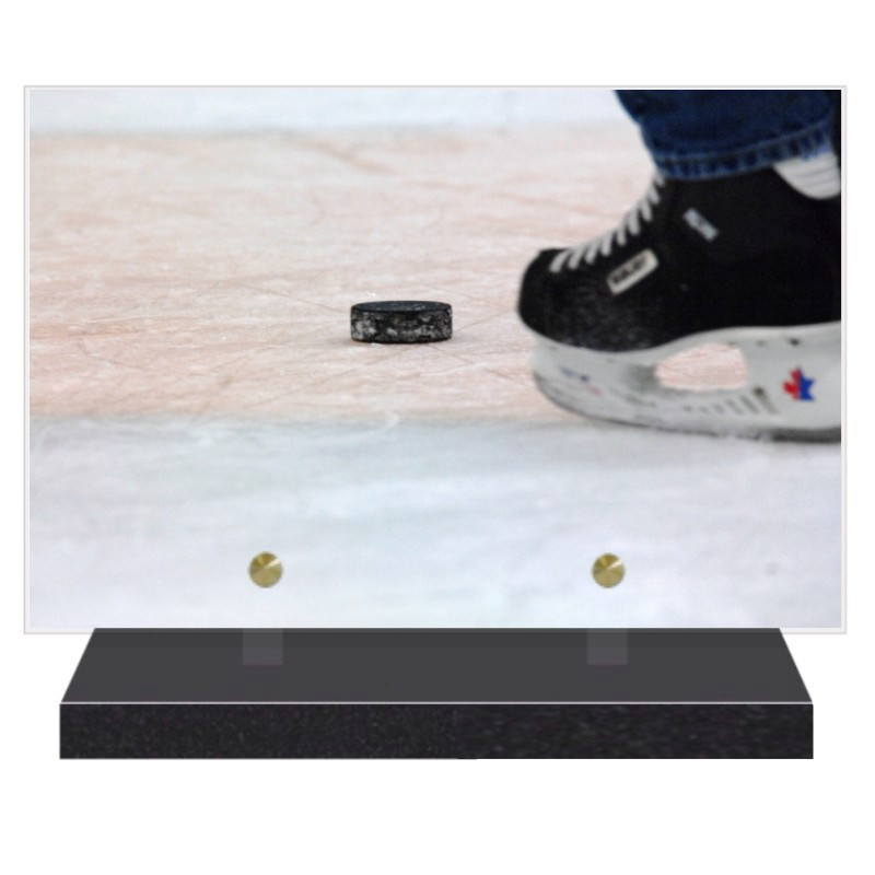 PLAQUE FUNÉRAIRE HOCKEY SUR GLACE 20 cm X 30 cm FPF10781