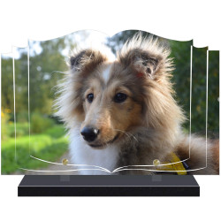 PLAQUE FUNÉRAIRE LIVRE CHIEN A PERSONNALISER FPFW00184