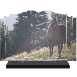 PLAQUE FUNÉRAIRE LIVRE CHEVAUX A PERSONNALISER FPFW0302