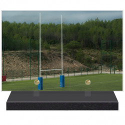 PLAQUE FUNÉRAIRE RUGBYMEN RUGBY 20 cm X 30 cm FPF10861