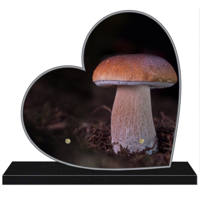 PLAQUE FUNÉRAIRE PERSONNALISABLE COEUR CHAMPIGNONS FPFNX307