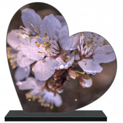 PLAQUE FUNÉRAIRE COEUR 30 cm X 30 cm FLEURS FPF2228