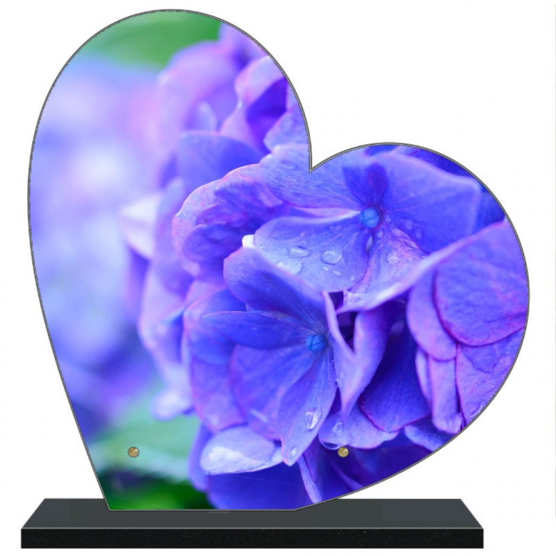 PLAQUE FUNÉRAIRE HORTENSIA BLEU COEUR 30 cm X 30 cm FPF2264