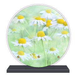 PLAQUE FUNÉRAIRE FLEURS RONDE 20 cm X 20 cm FPF2000