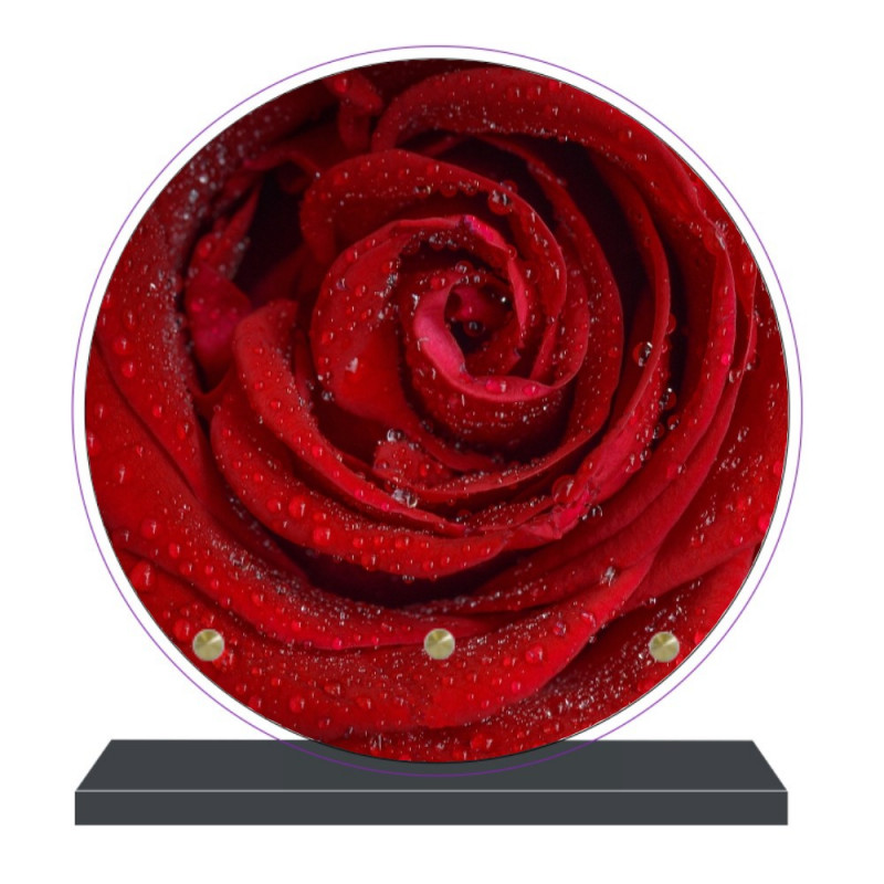 PLAQUE FUNÉRAIRE FLEURS ROSE ROUGE RONDE 20 cm X 20 cm FPF2016