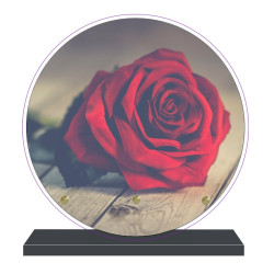 PLAQUE FUNÉRAIRE ROSE ROUGE RONDE 20 cm X 20 cm FPF2023