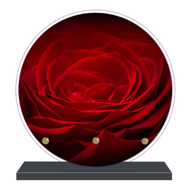 PLAQUE FUNÉRAIRE RONDE ROSE ROUGE 20 cm X 20 cm FPF2033