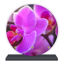 PLAQUE FUNÉRAIRE RONDE ORCHIDÉE 20 cm X 20 cm FPF2035