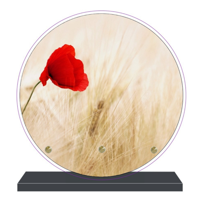 PLAQUE FUNÉRAIRE RONDE THÈME COQUELICOT 20 cm X 20 cm FPF2090