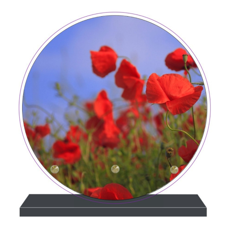 PLAQUE FUNÉRAIRE RONDE FLEURS COQUELICOTS 20 cm X 20 cm FPF2092