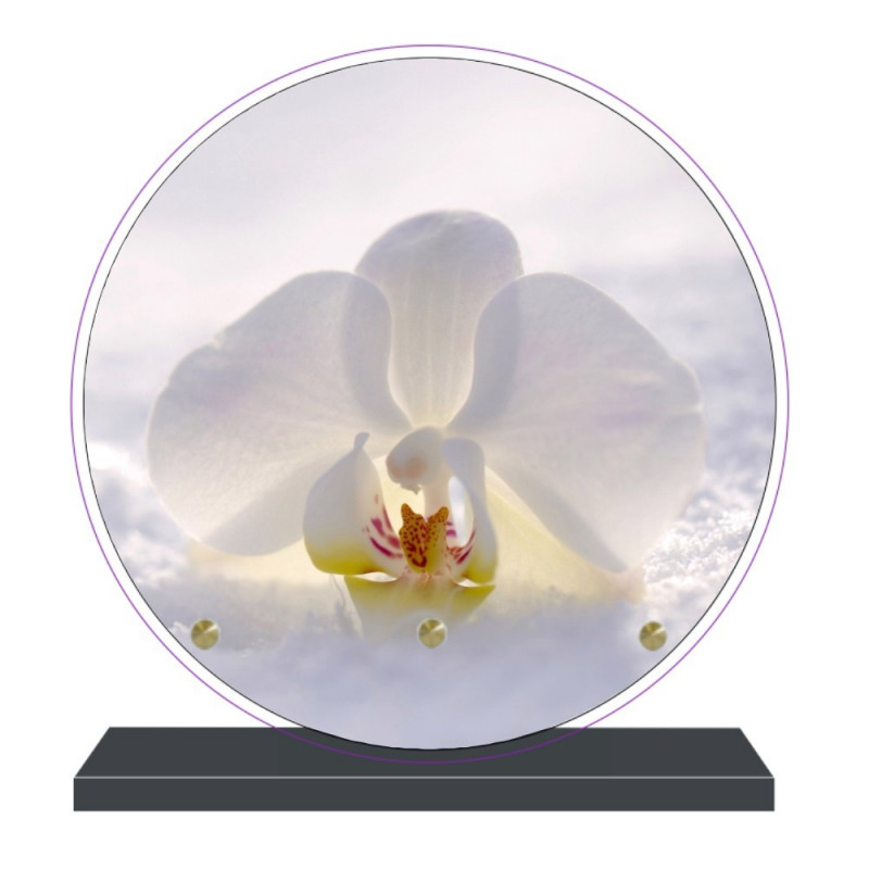 PLAQUE FUNÉRAIRE RONDE ORCHIDÉE 20 cm X 20 cm FPF2096