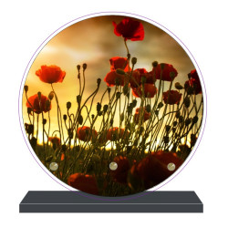 PLAQUE FUNÉRAIRE RONDE COQUELICOTS 20 cm X 20 cm FPF2115