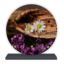 PLAQUE FUNÉRAIRE RONDE FLEURS 20 cm X 20 cm FPF2169