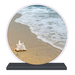 PLAQUE FUNÉRAIRE PLAGE COQUILLAGE RONDE 20 cm X 20 cm FPF2190