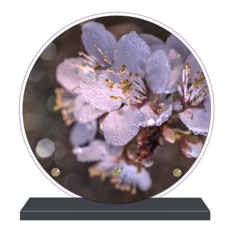 PLAQUE FUNÉRAIRE FLEURS RONDE 20 cm X 20 cm FPF2228