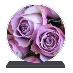 PLAQUE FUNÉRAIRE FLEURS RONDE 20 cm X 20 cm FPF2230