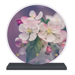 PLAQUE FUNÉRAIRE FLEURS RONDE 20 cm X 20 cm FPF2233