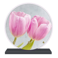 PLAQUE FUNÉRAIRE TULIPES RONDE 20 cm X 20 cm FPF2234