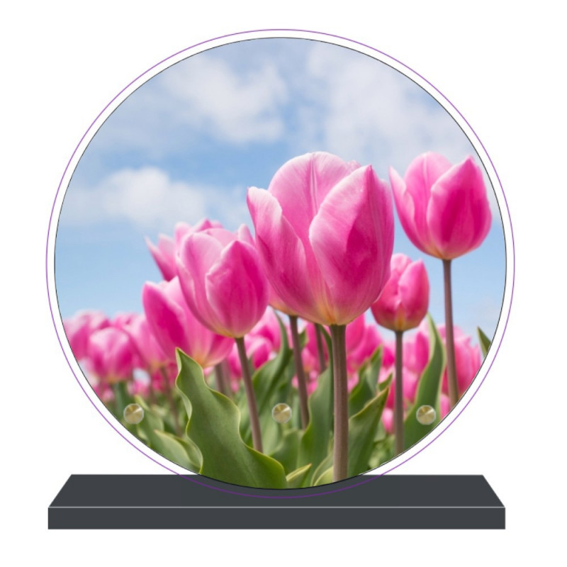 PLAQUE FUNÉRAIRE RONDE THÈME TULIPES 20 cm X 20 cm FPF2256