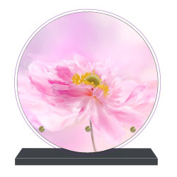 PLAQUE FUNÉRAIRE RONDE THÈME FLEURS 20 cm X 20 cm FPF2258