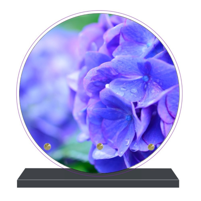 PLAQUE FUNÉRAIRE RONDE HORTENSIA BLEU 20 cm X 20 cm FPF2264